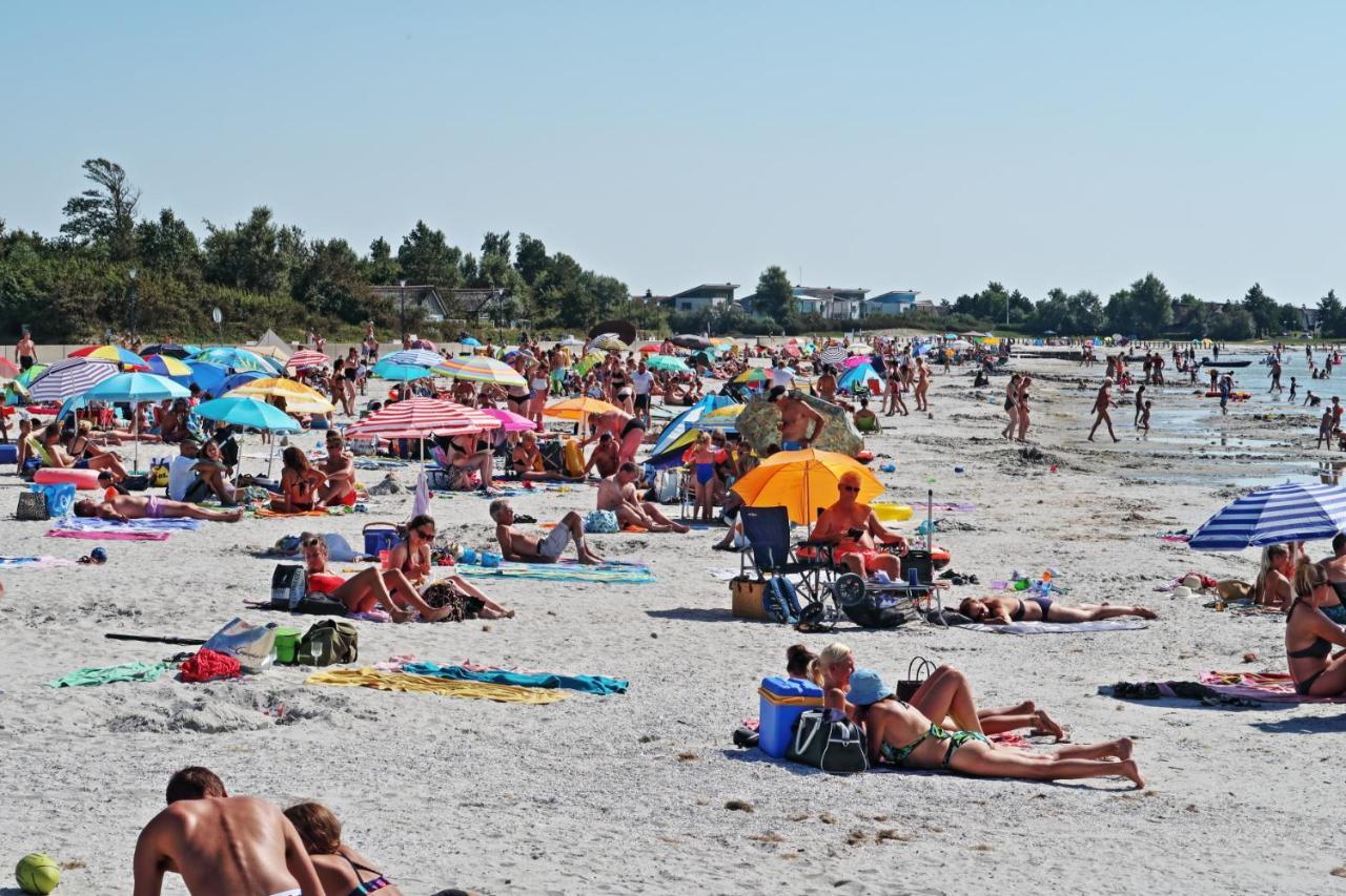 Ferienwohnung Direkt Am Strand In Makkum Eksteriør bilde